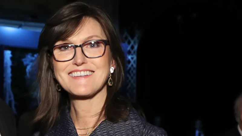 Cathie Wood's Tesla Dump: What's She Buying, and Should We Care?